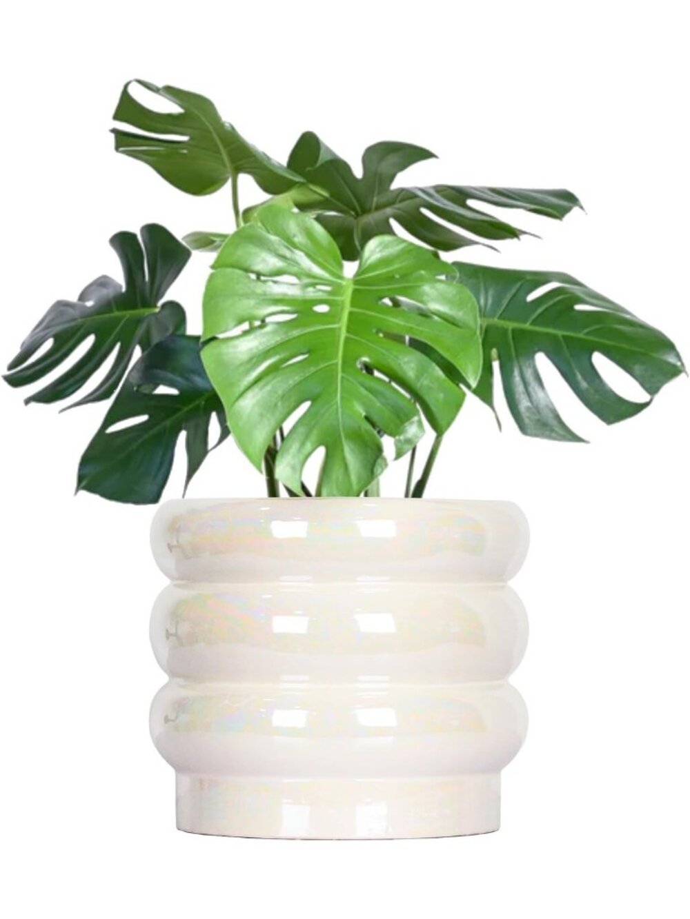 8-Inch White Ceramic Plant Pot with Drainage - Rainbow Pearl Glaze Indoor